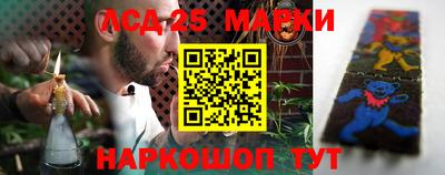 индика Обнинск