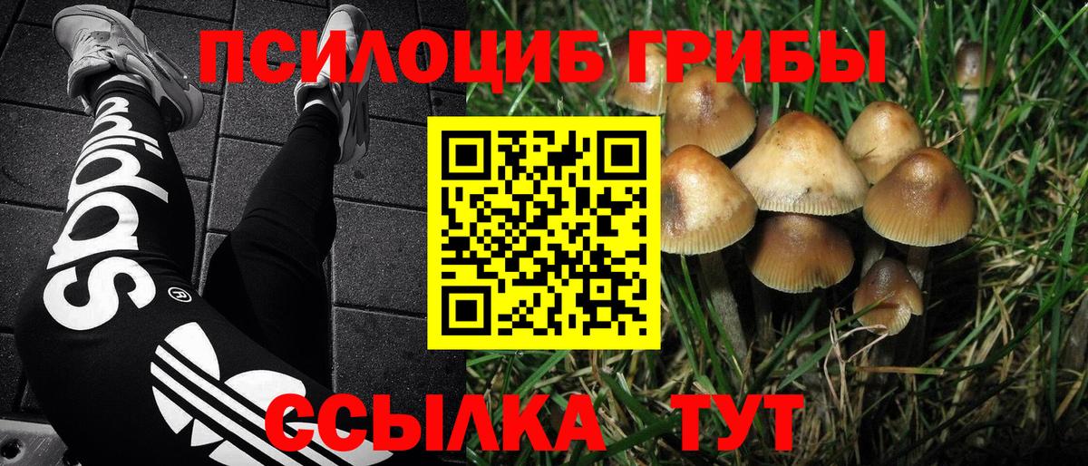 Галлюциногенные грибы прущие грибы Сызрань