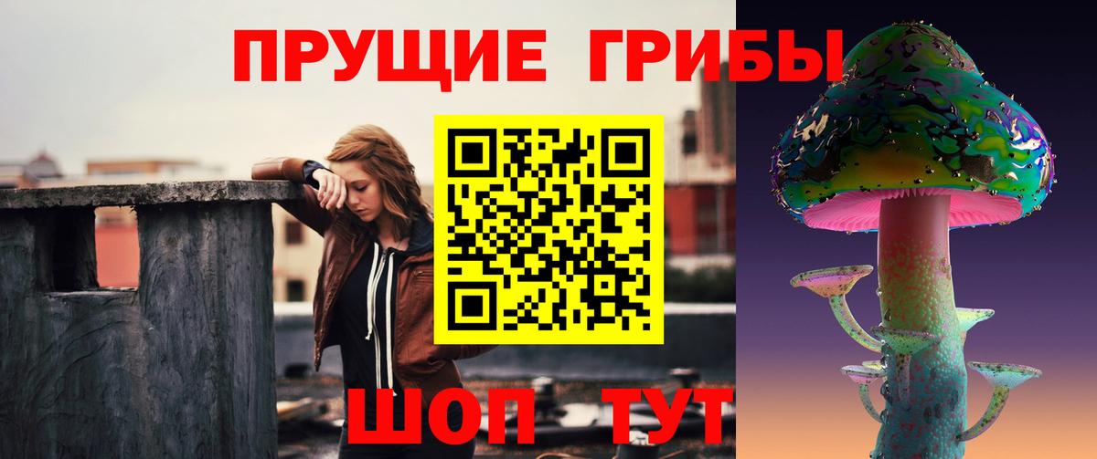 Псилоцибиновые грибы Psilocybine cubensis  Вход с VPN  Галлюциногенные грибы Psilocybine cubensis  Сызрань 